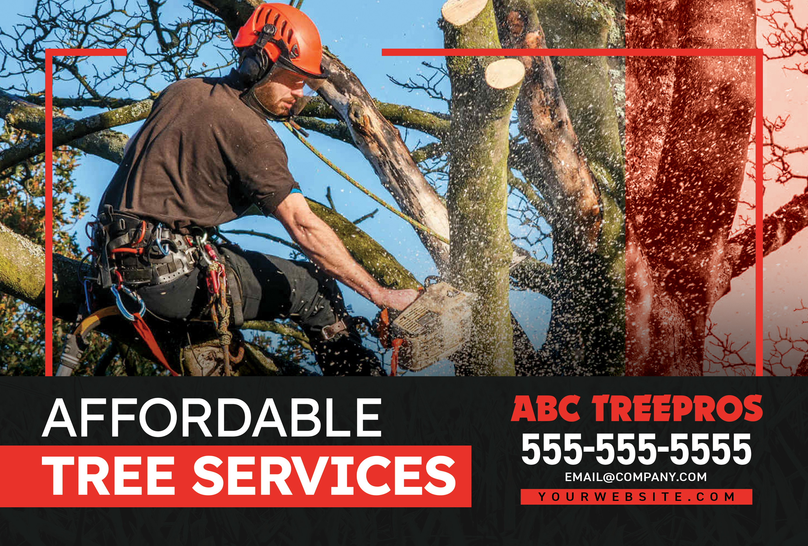 Copy of TREE CARE - PC - FRONT - 1