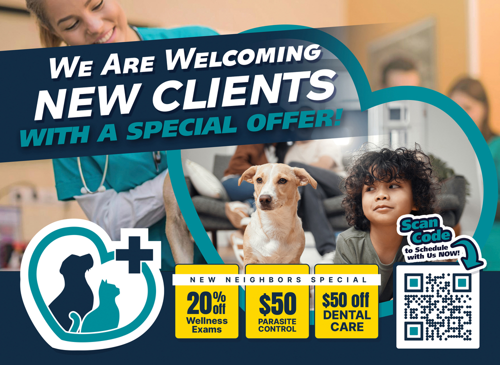 Copy of Veterinarians - EDDM 6.5x9 - Front v1-1